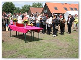 2011_06_302