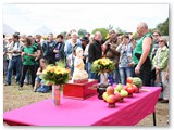2011_06_325