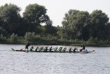 img_8291