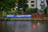 Ise-Cup.jpg