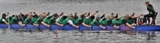 billecup13_(256).jpg