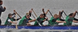 billecup13_(259).jpg