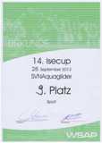 Urkunde Ise-Cup 9.Platz
