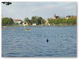 Schwerin (19)