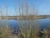 Blick auf den Eichbaumsee