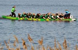 RostockLS09.jpg