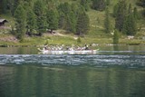 1.Rennen am Obersee