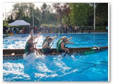 Poolcup_2011 (14)