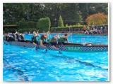 Poolcup_2011 (18)
