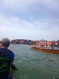 46. Vogalonga, Venedig