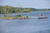 DSC_1947.JPG