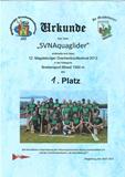 12.mdf1000mplatz1