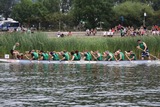 GroteFoto-3CKUHLP4