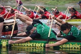 GroteFoto-N47UHDLS