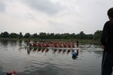 MDF12_w_141